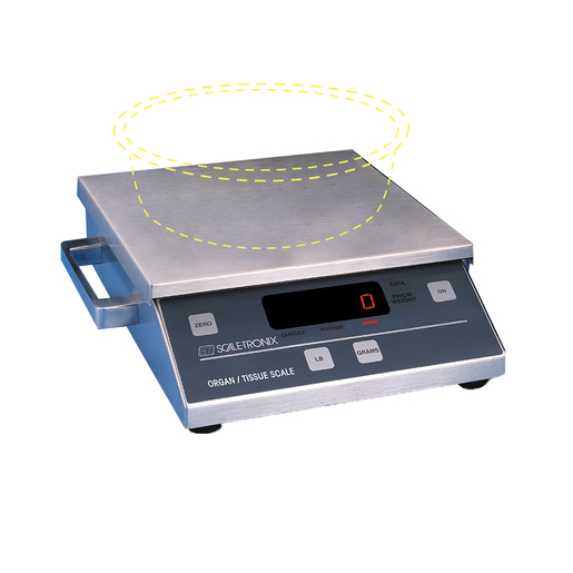 Scale-Tronix Diaper and Organ Scale Scale-Tronix Diaper and Organ Scale